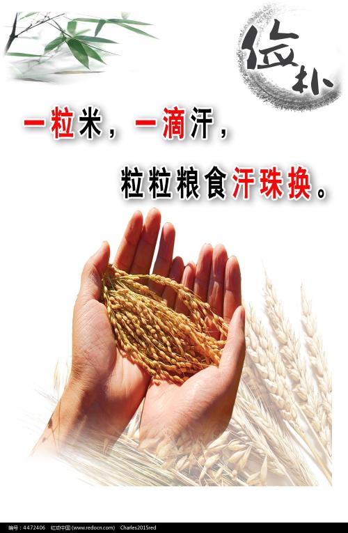 波莫纳学院电子工程学位证书